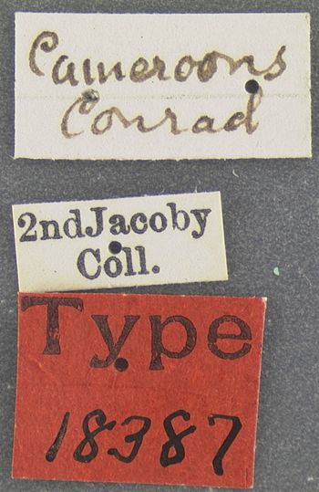 Media type: image;   Entomology 18387 Aspect: labels